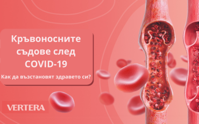 Кръвоносни съдове след COVID-19. Как да възстановят здравето си?