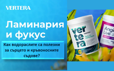 Ламинария и фукус. Как водораслите са полезни за сърцето и кръвоносните съдове?