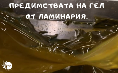 Предимствата на гел от Ламинария