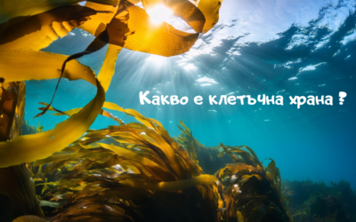 Какво е клетъчно хранене?